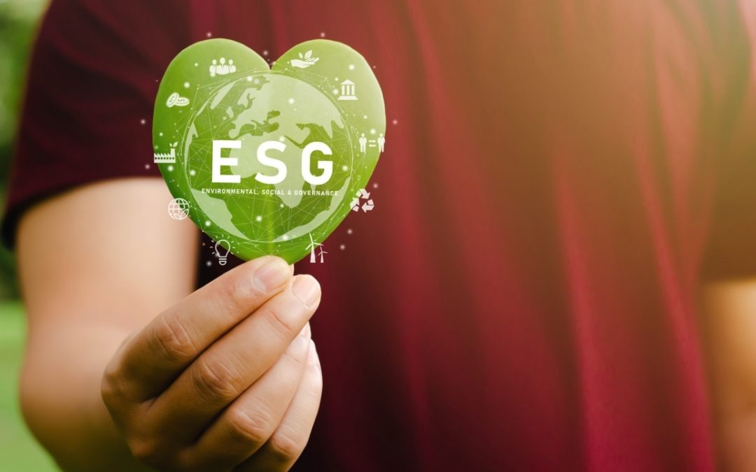 Cosa sono i fondi esg?