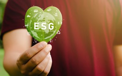 Cosa sono i fondi esg?